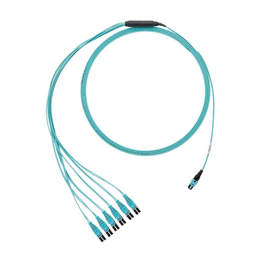 24 lif OM3 HD Flex kapalı küçük çaplı gövde kablo düzeneği olup, plenumun (OFNP) bir çekme gözü, 100ft kadın PanMPO, Metot B, Optimize IL için PanMPO dişi puan.