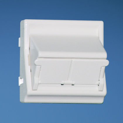 NetKey 45 mm x 45 mm adaptörü bir 1/2 boy kapanan insert eğimli olan iki kilit taşı modülleri kabul eder. Arktik Beyaz