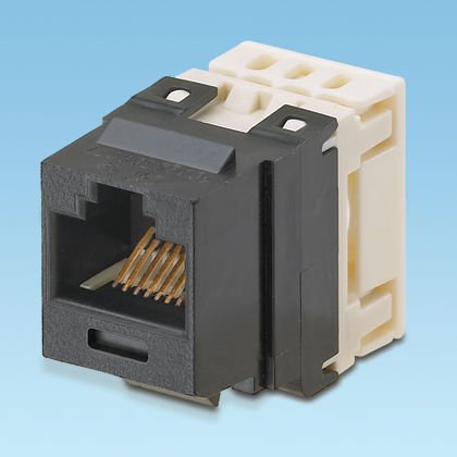 Kategori 5e, 8-konumunda, 8-telli, Keystone punchdown girişi modülü. Elektrik Fildişi.
