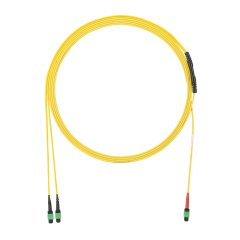 OS2 Plenum 24F MPO F Interconnect 24F / (2) 12F MTP F Tipi bir Std IL 4f