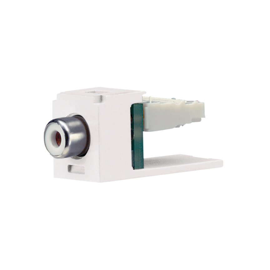 Modül beyaz insert, White ile bir RCA bağlantısı ile birlikte.
