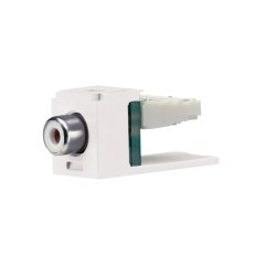 Modül beyaz insert, White ile bir RCA bağlantısı ile birlikte.