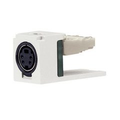 Modül bir S-video bağlantısı, elektrikli Ivory ile birlikte.