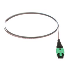 OS2, 12 Elyaf Çıplak Şerit Pigtail Meclisi, Pigtail, Standart Polarlığı, Standart Ekleme Kaybı için PanMPO Kadın - 3 metre