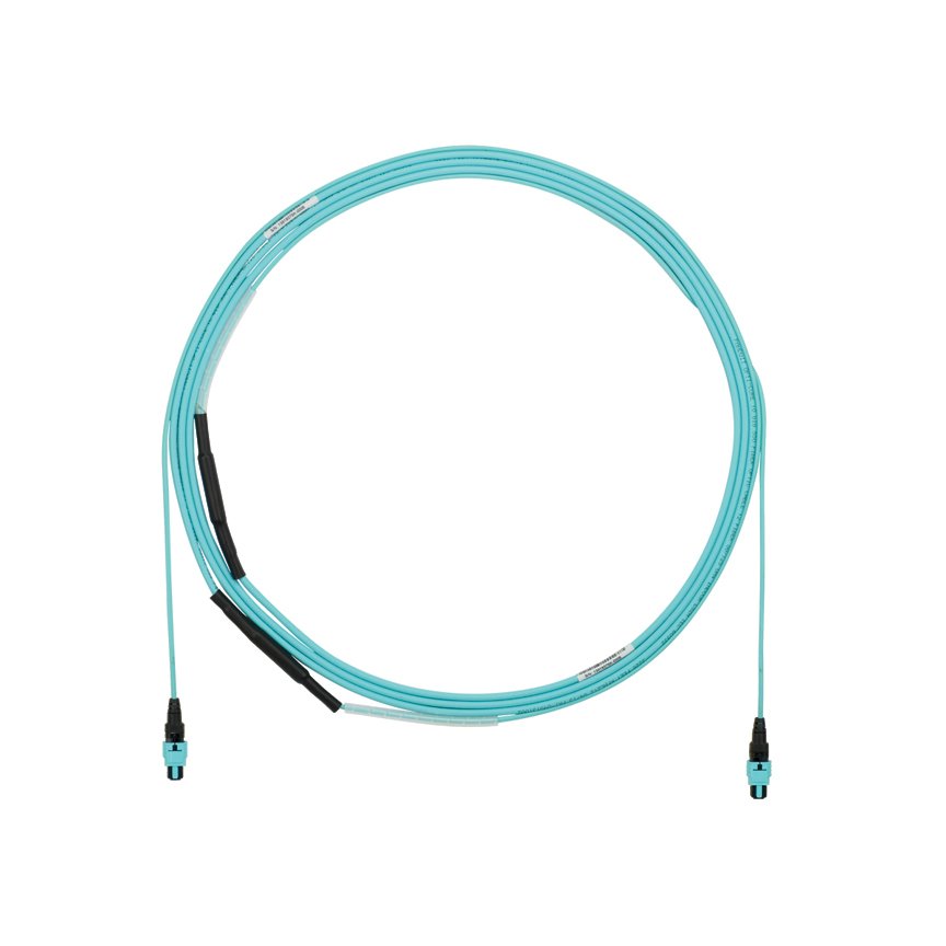OM4 12 fiber, kapalı, küçük çaplı gövde kablo düzeneği olup, Plenum PanMPO dişi, A Yöntemine PanMPO dişi, alan; Std IL ,; Bitiş A üzerinde göz çekerek ile