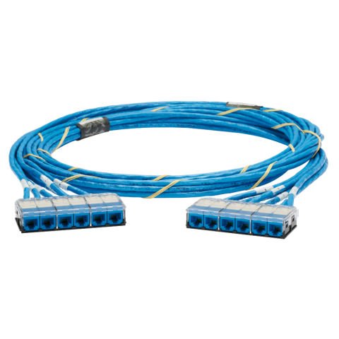 QuickNet Kablo Montaj her ucunda öncesi sona TX6 PLUS UTP Jack Modülü Kasetler, Mavi, 45 ft ile Kategori 6 UTP Plenum Cable yaptı.