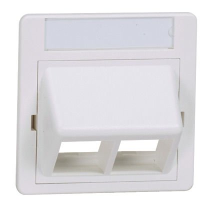 NetKey Com 50mm x 50 mm adaptörü bir 1/2 boy insert eğimli olan iki kilit taşı modülleri kabul eder. montaj vidaları ve metal montaj plakası ile birlikte verilir. Arktik Beyaz.