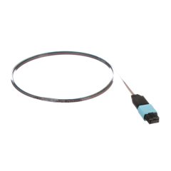 OM4, 12 Elyaf Çıplak Şerit Pigtail Meclisi, Pigtail, Standart Polarlığı, Standart Ekleme Kaybı MPO Kadın - 2 metre