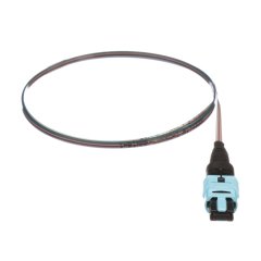 OM4, 12 Elyaf Çıplak Şerit Pigtail Meclisi, Pigtail, Standart Polarlığı, Standart Ekleme Kaybı için PanMPO Kadın - 3 metre