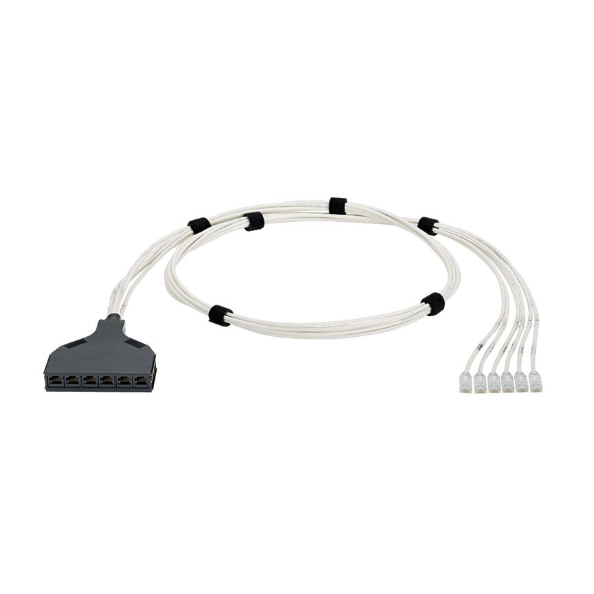 QuickNet Liman Harness bir ucunda 6 Modüler Fiş ile Kategori 6 (SD), UTP, CM / LSZH bakır kablo arasında contructed ve diğer ucunda 6 Black Jack Modülleri ile Kaseti-sonlandırılmış önceden geçin.