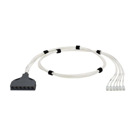 QuickNet Liman Harness bir ucunda 6 Modüler Fiş ile Kategori 6 (SD), UTP, CM / LSZH bakır kablo arasında contructed ve diğer ucunda 6 Black Jack Modülleri ile Kaseti-sonlandırılmış önceden geçin.