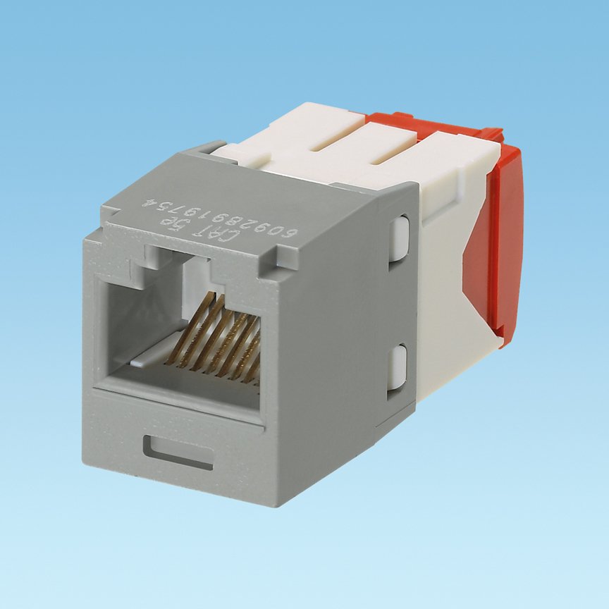 Kategori 5e, RJ45, 8-konumu, 8 telli evrensel jak modülü. Uluslararası Grey.
