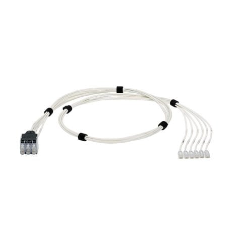 QuickNet Yama Harness Kategori 6 (SD) arasında contructed geçin UTP, CM / LSZH bakır kablo diğer ucunda Modüler Fiş ile bir ucunda bir 6-Pack, siyah Soket Paketi.