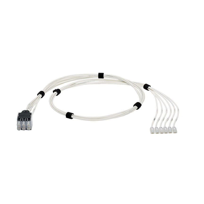 QuickNet Yama Harness Kategori 6 (SD) arasında contructed geçin UTP, CM / LSZH bakır kablo diğer ucunda Modüler Fiş ile bir ucunda bir 6-Pack, siyah Soket Paketi.