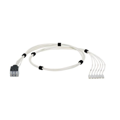 QuickNet Yama Harness Kategori 6 (SD) arasında contructed geçin UTP, CM / LSZH bakır kablo diğer ucunda Modüler Fiş ile bir ucunda bir 6-Pack, siyah Soket Paketi.