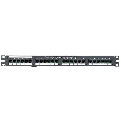 İki RJ21 Telco konektörlere kablolu 24 RJ45 port ile DataPatch 24 bağlantı, Kategori 5e, kumanda paneli (1 RU)
