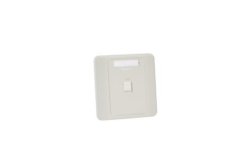 NetKey 86mm x 86mm Düz kapanan ön panel, bir kilit taşı modüller kabul eder. İki M4.0-0.7 x 25 mm panhead bağlantı vidalarını içerir. Arktik Beyaz