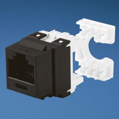 DP6 ™ PLUS UTP Patch Paneller için Yedek portu